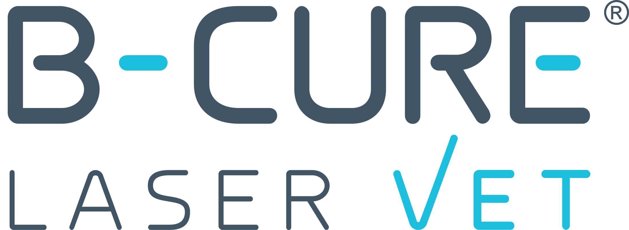 B-Cure Laser Vet