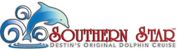 Southern Star Dolphin Cruise