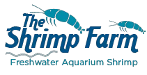 TheShrimpFarm
