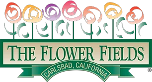 The Flower Fields