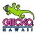 gecko hawaii