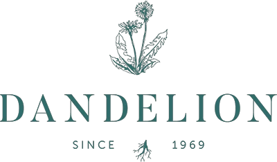 Dandelion Jewelry