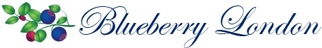 BlueBerry
