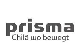 Prisma Watches
