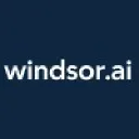 windsor.ai