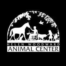 animalcenter