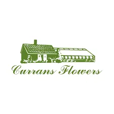 Currans Flowers