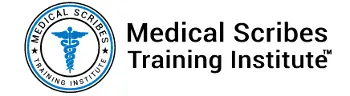 Medical Scribe Medical Scribes