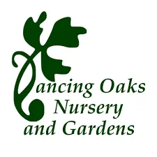 Dancing Oaks