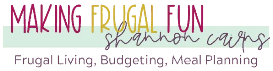 Making Frugal FUN