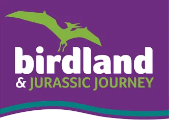 Birdland