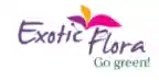 Exotic Flora