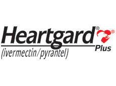 Heartgard