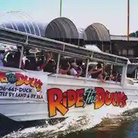 ridetheducksofseattle.com