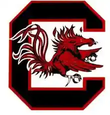 Gamecocks Online